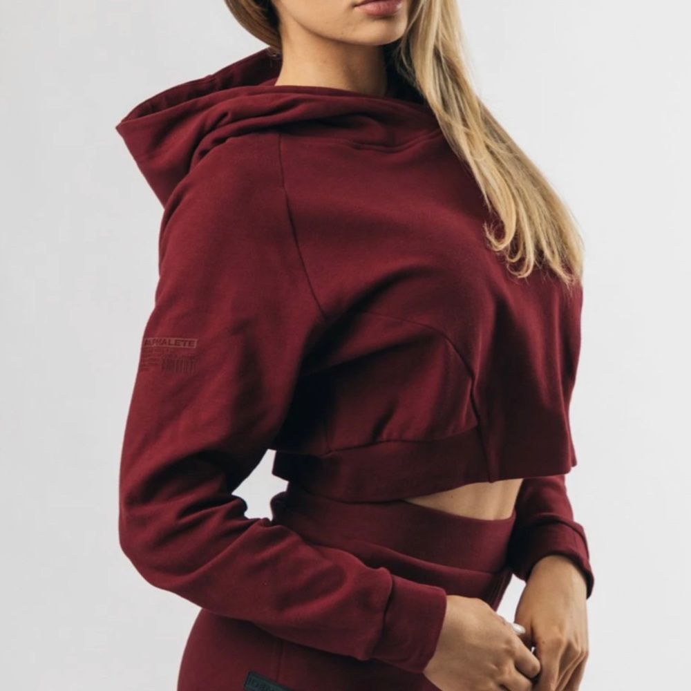 Alphalete Crop Hoodie